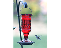 Jewel Red Hummingbird Feeder-CLASSIC76