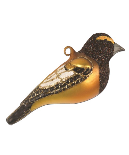 Evening Grosbeak Ornament (COBANEC414)