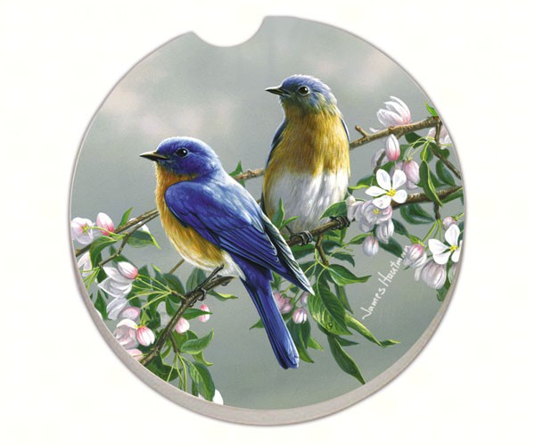Beautiful Songbirds Bluebirds Car Coaster