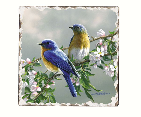 Bluebird Number 1 Single Tumbled Tile Coaster