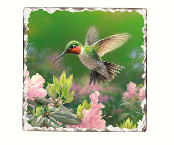 Hummingbird Number 1 Single Tumbled Tile Coaster