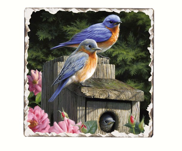 Bluebirds Number 2 Single Tumbled Tile Coaster