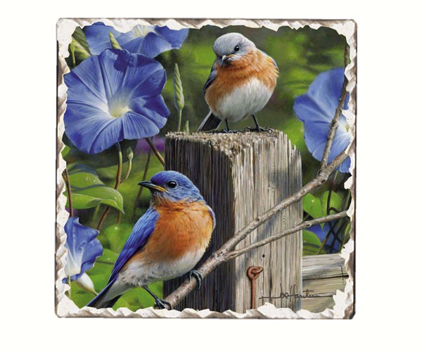 Bluebirds Number 3 Single Tumbled Tile Coaster