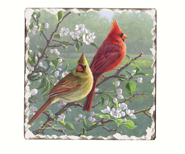 Cardinals Number 1 Single Tumbled Tile Coaster