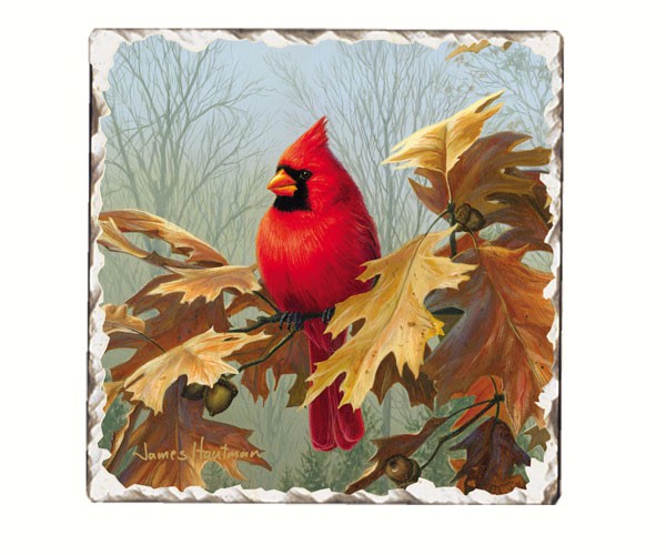 Cardinals Number 2 Single Tumbled Tile Coaster