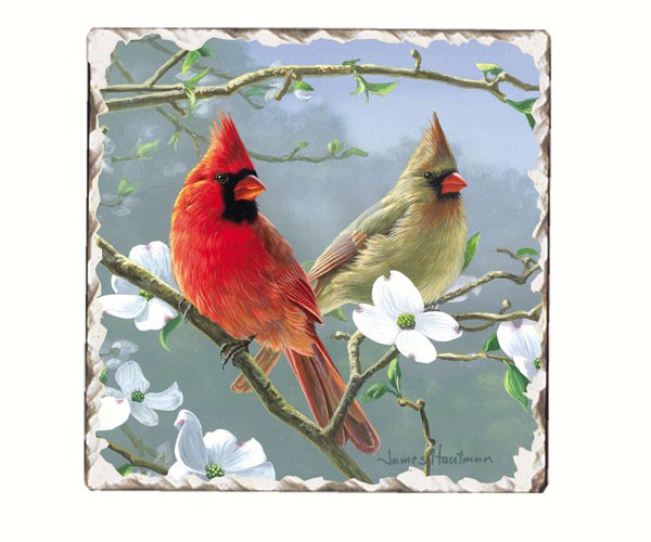 Cardinals Number 3 Single Tumbled Tile Coaster