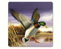 Water Birds Hardboard Coasters-CART12618