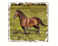 Horses Tumbled Trivet-CART15789