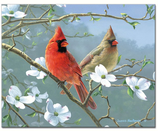 Beautiful Songbirds Glass Cutting Board 12x15