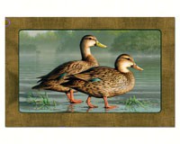 Water Birds Paper Placemats 24 per set-CART47118