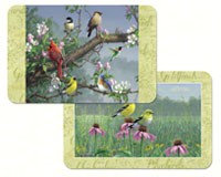 Beautiful Songbirds Reversible Placemat Plastic-CART49880