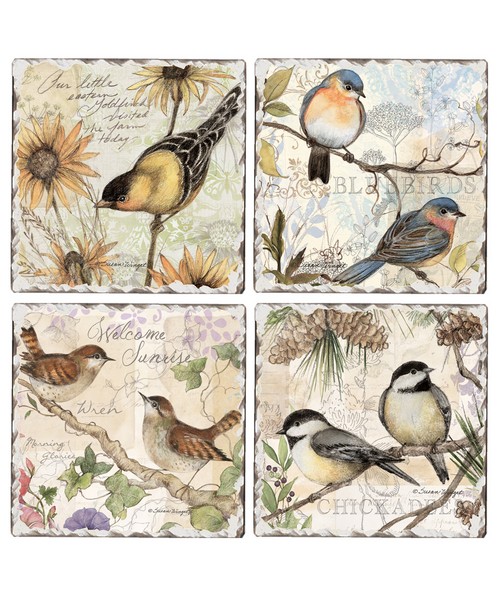 Field Study 4-Pack Assorted Coasters