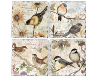 Field Study 4-Pack Assorted Coasters-CART88068