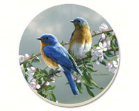 Beautiful Songbirds Bluebirds Coasters Set of 4-CART88470