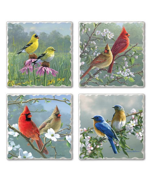 Beautiful Songbirds 4-Pack Assorted Coasters