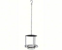 Recycled Glass 6 Inch Clear Hanging Floral Feeder-COURM446200