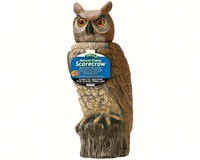 Owl with Rotating Head-DALENRHO4