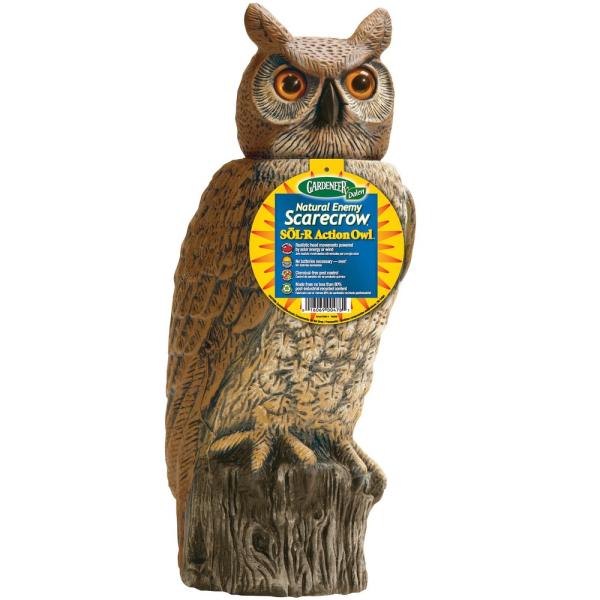 Solar Activate 18 inch Owl