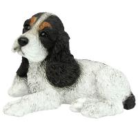 Black & White Cocker Spaniel Puppy plus freight-DTCF2458
