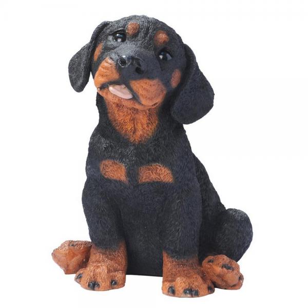 Rottweiler Puppy Statue plus freight