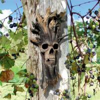 Evil Tree of Knowledge Wall Sculpture plus freight-DTCL7134