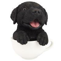 Pup In Cup Black Lab plus freight-DTHT8760