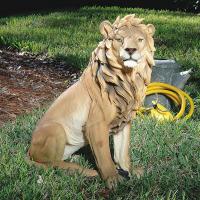 King of Beasts Lion plus freight-DTJE43201