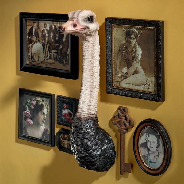 Ostrich Trophy Bird Wall Sculpture plus freight