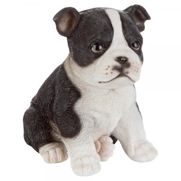 Boston Terrier Puppy Partner Statue plus freight