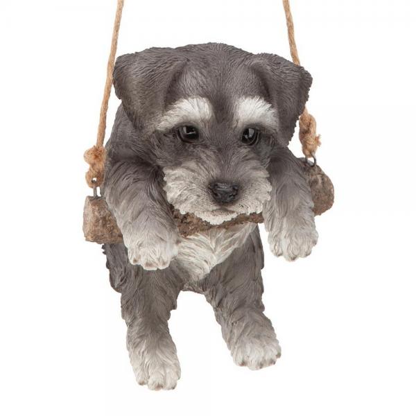 Mini Schnauzer Puppy On A Perch plus freight