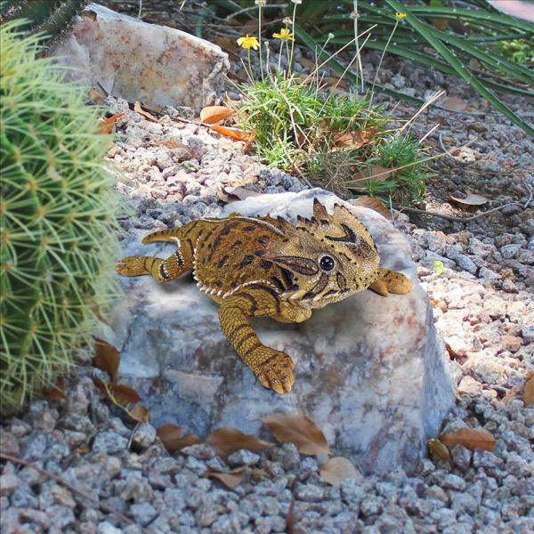 Horny Toad Lizard Statue plus freight