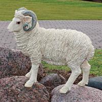 Horned Dorset Sheep Statue plus freight-DTJQ6171