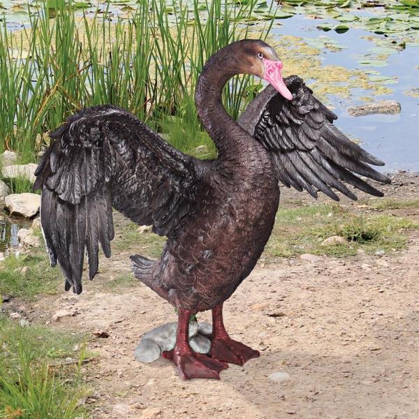 Beautiful Black Swan Statue plus freight