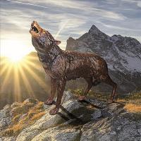 The Howl of The Wild Wolf Bronze Statue plus freight-DTKW94082