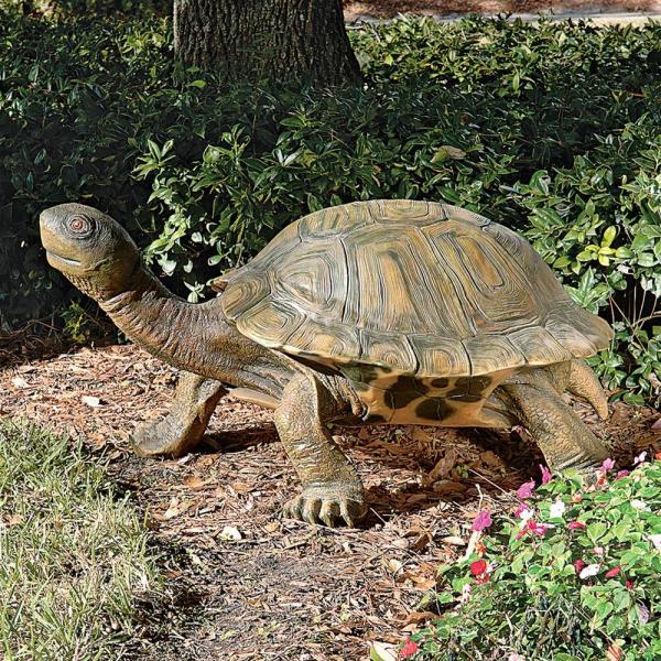 Giant Tranquil Tortoise plus freight