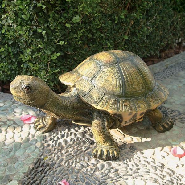 Large Tranquil Tortoise plus freight