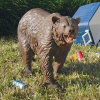 Grand Scale Brown Bear plus freight-DTKY18152