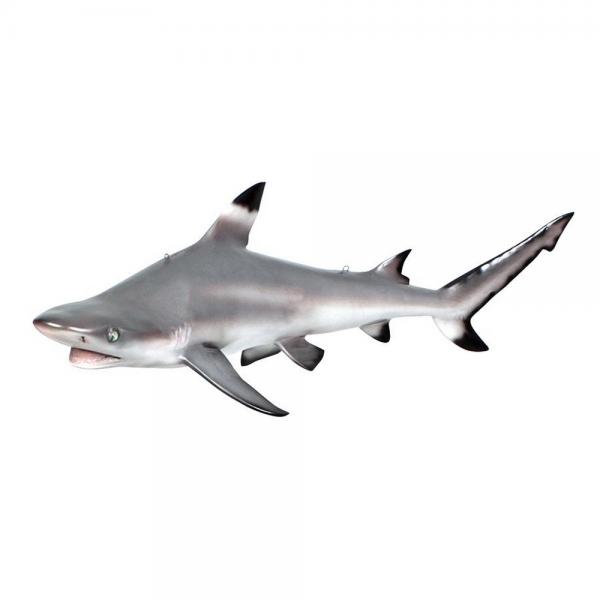 Black Tip Shark Ceiling Mount Trophy plus freight