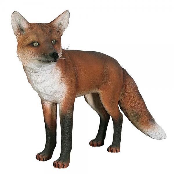 Urie The European Red Fox Statue plus freight