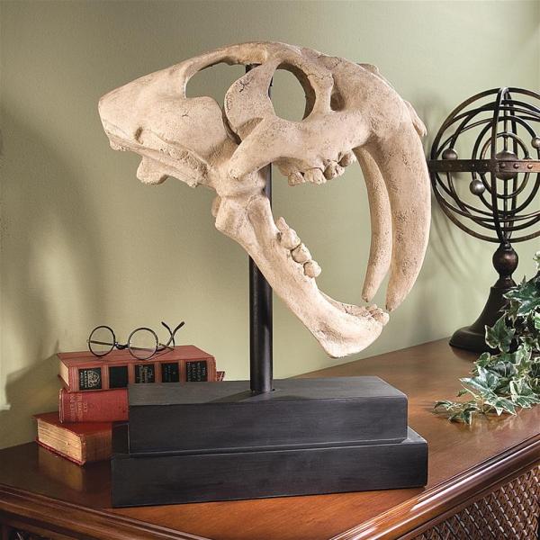 Saber Tooth Tiger Skull On Museum Mount plus freight