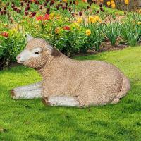 Merino Lamb Resting plus freight-DTNE110012