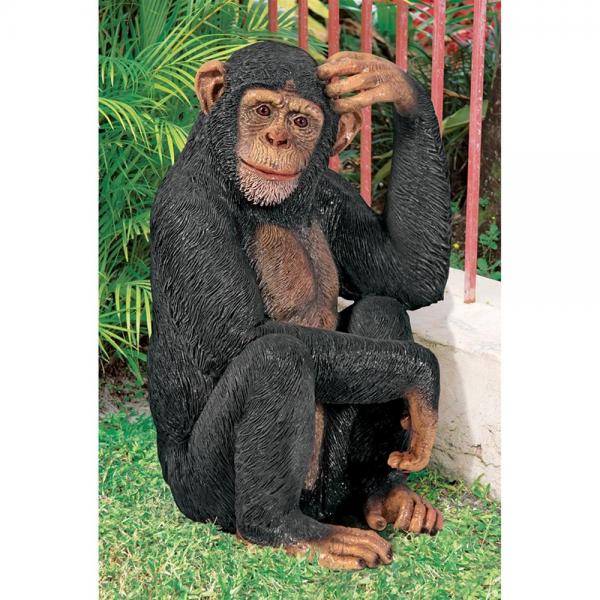 Chauncey The Confused Chimp Statue plus freight