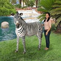 Grand Scale Adult Zebra Statue plus freight-DTNE110075