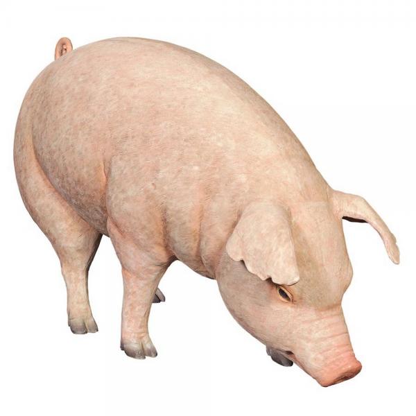 Divine Swine Life Size Farm Pig Statue plus freight