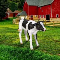 Buttercup Holstein Calf Statue plus freight-DTNE120076