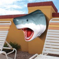 Great White Shark Head Trophy plus freight-DTNE130046