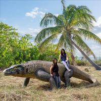 Giant Megalania Lizard - Special Order plus freight-DTNE130056