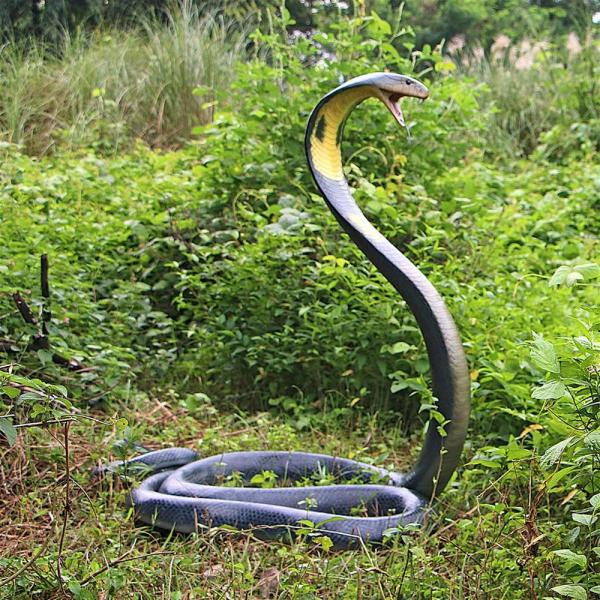 King Cobra Life Size Snake Statue plus freight