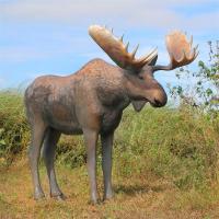 Full-Scale North American Moose Statue plus freight-DTNE170211