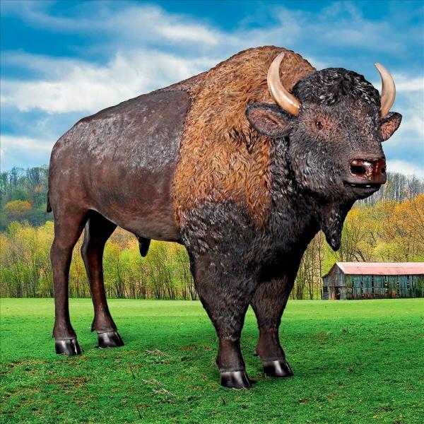 Full Scale American Bison plus freight